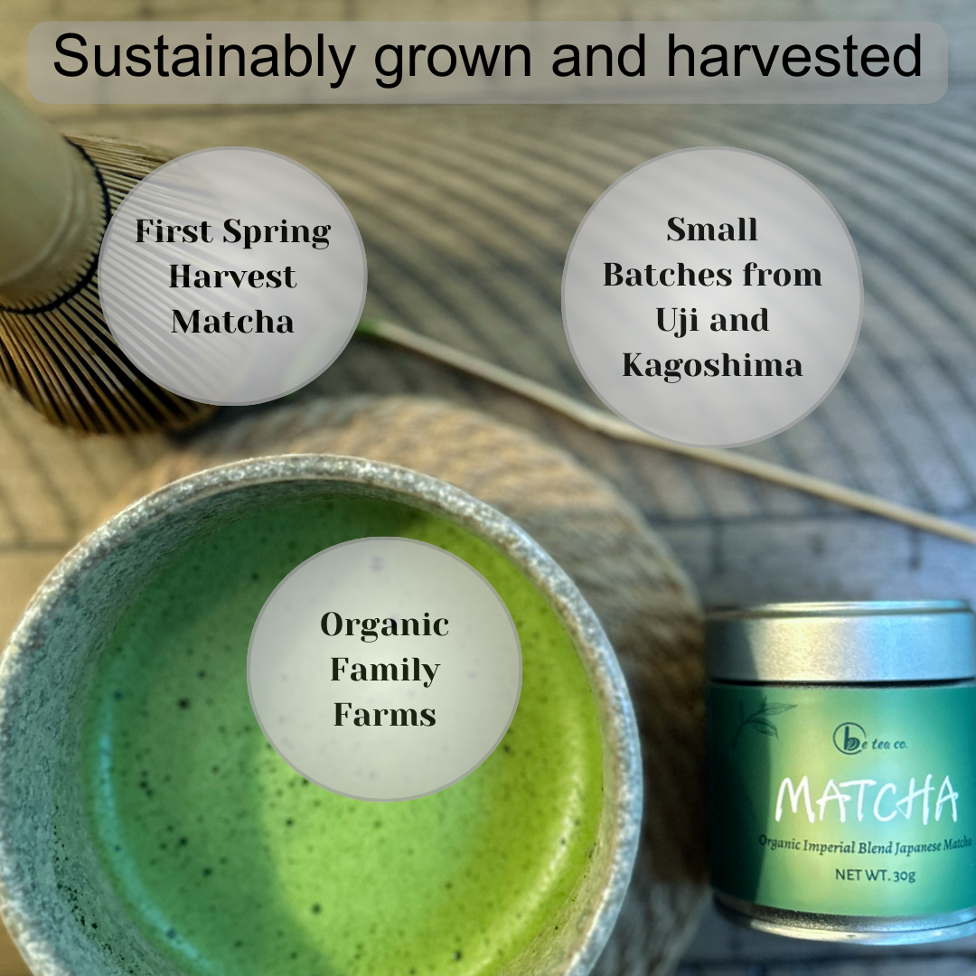 Sustainably grown and harvested Japanese Matcha